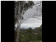Kooralbyn QLD 4285