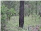 Kooralbyn QLD 4285