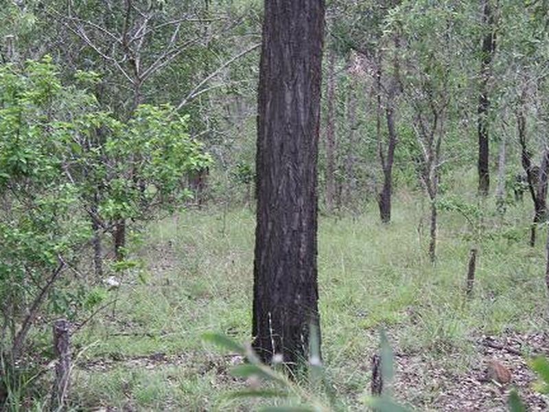 Kooralbyn QLD 4285