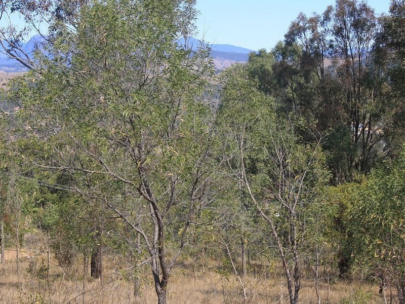 Kooralbyn QLD 4285