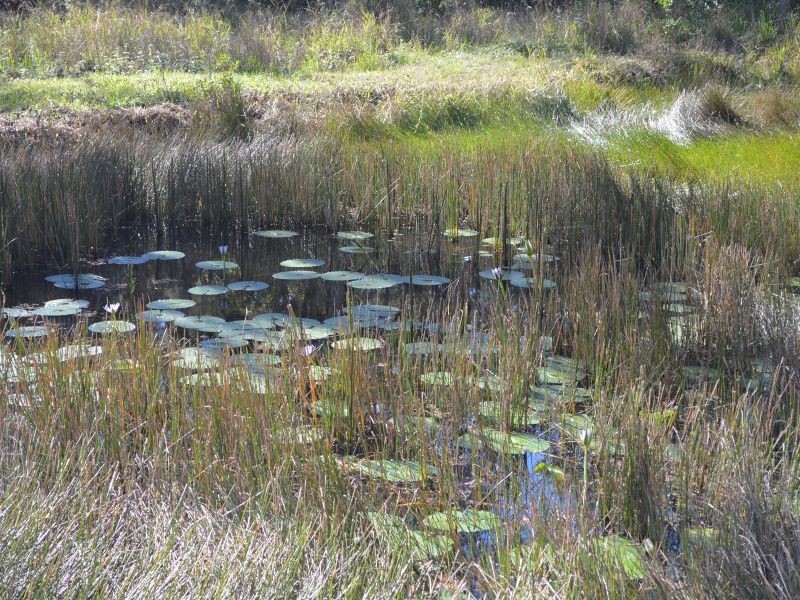 119 Graham Drive, Sandy Beach NSW 2456