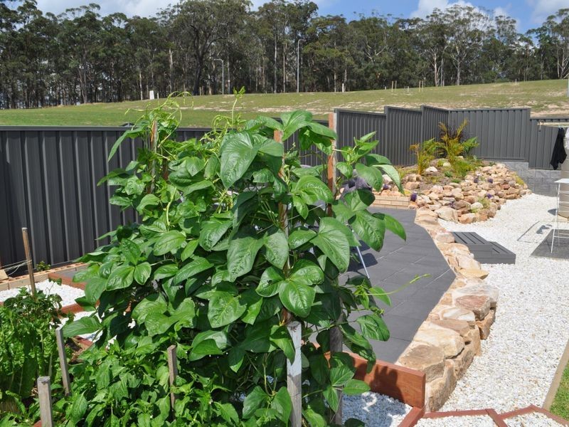 16 Seacrest Boulevard, Sandy Beach NSW 2456