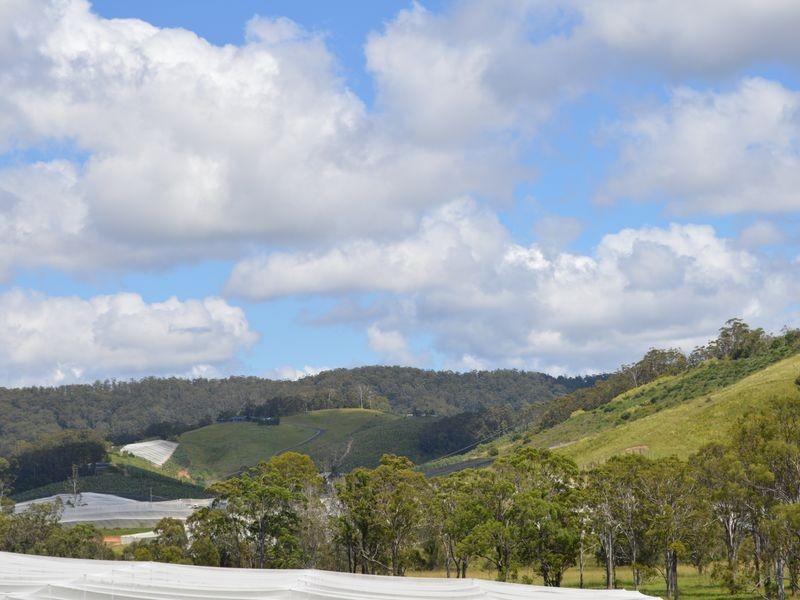 38 Johnsons Road, Sandy Beach NSW 2456