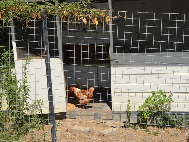 38 Johnsons Road, Sandy Beach NSW 2456