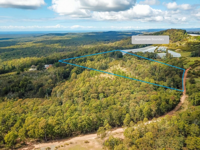 262 Grays Road, Halfway Creek NSW 2460