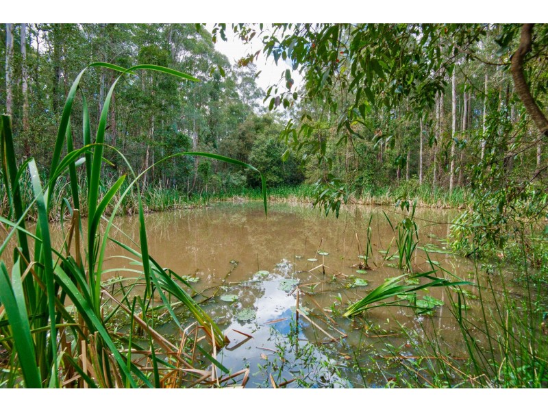 262 Grays Road, Halfway Creek NSW 2460