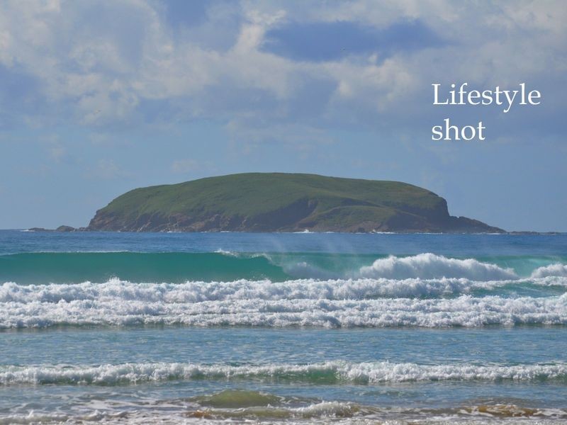 17 Mahogany Avenue, Sandy Beach NSW 2456