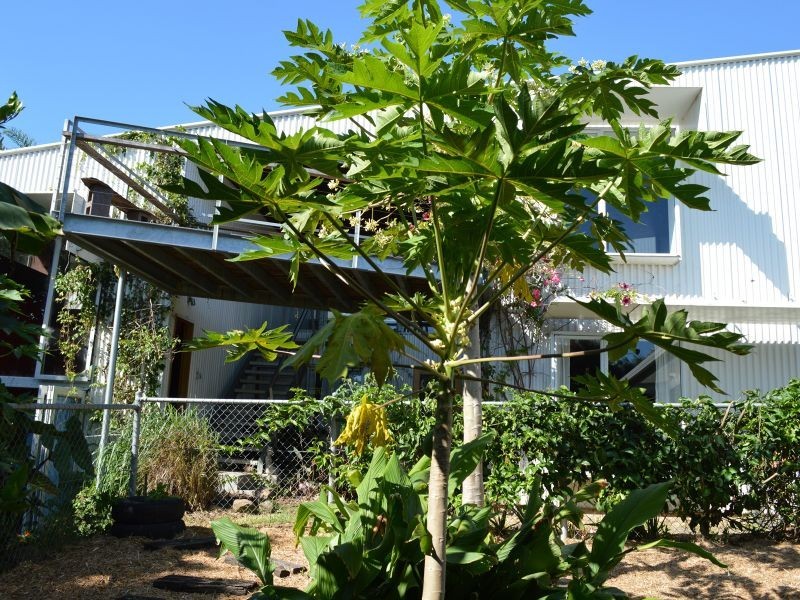 25 Scarborough Street, Woolgoolga NSW 2456
