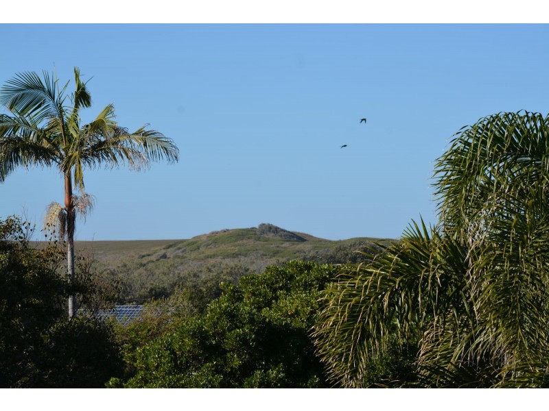 8 Blue Gum Avenue, Sandy Beach NSW 2456