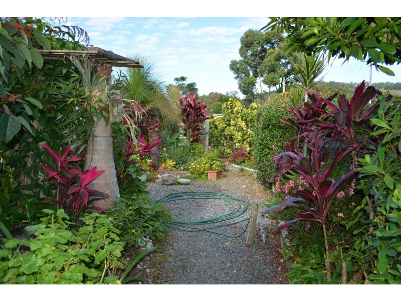 8 Diamond Head Drive, Sandy Beach NSW 2456