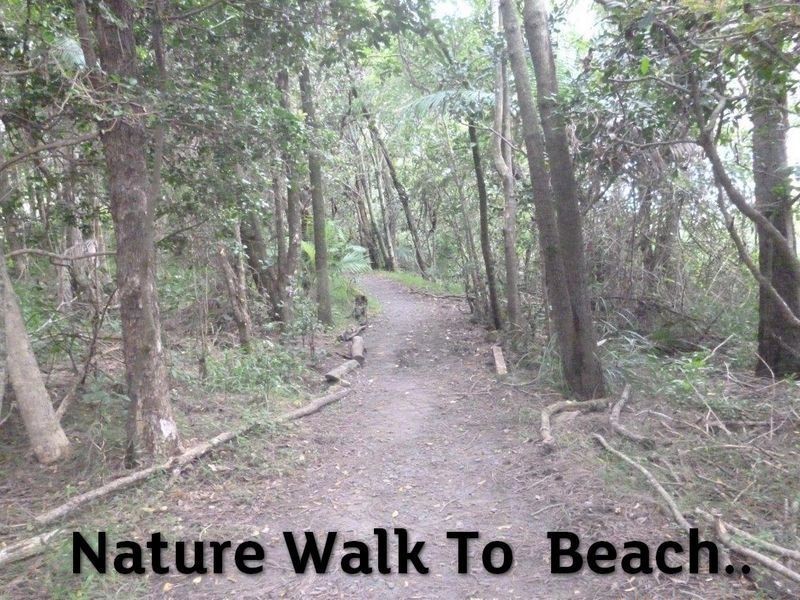 7 Killawarra Close, Safety Beach NSW 2456