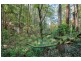 Lot 514 Skinner Close, Emerald Beach NSW 2456