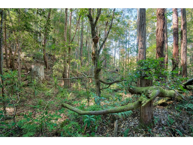 Lot 514 Skinner Close, Emerald Beach NSW 2456