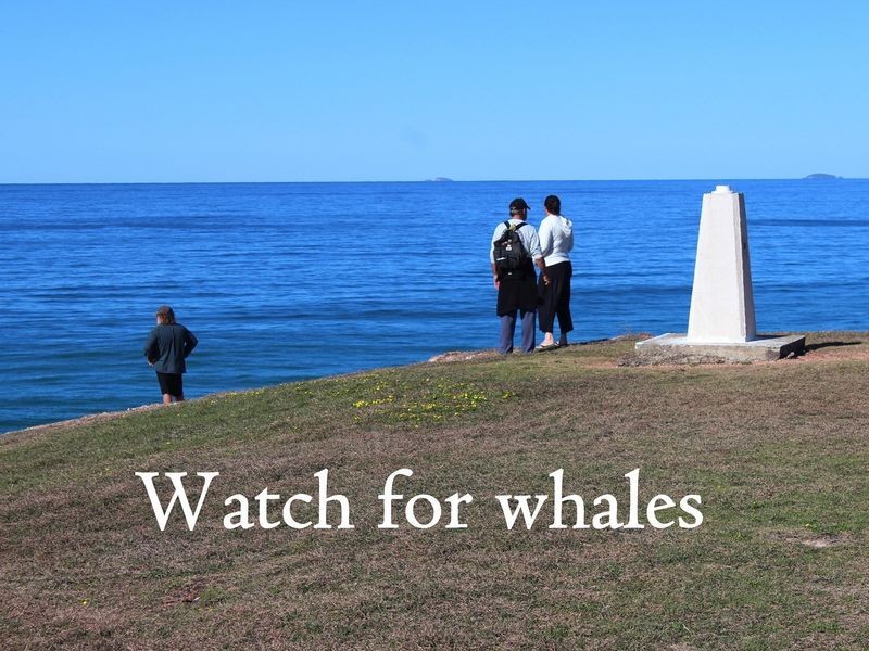 37 Schafer Street, Red Rock NSW 2456