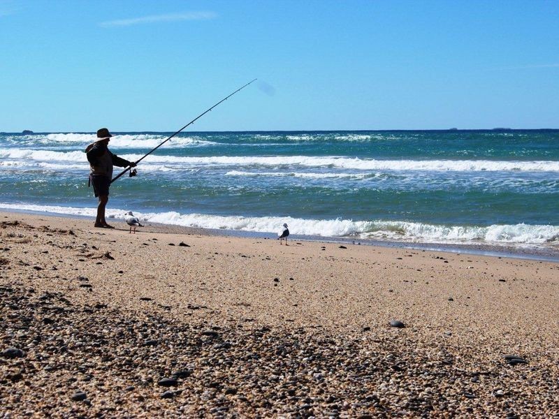 6/210 Eggins Drive, Arrawarra NSW 2456