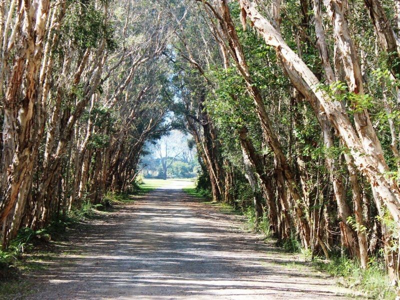 6/210 Eggins Drive, Arrawarra NSW 2456