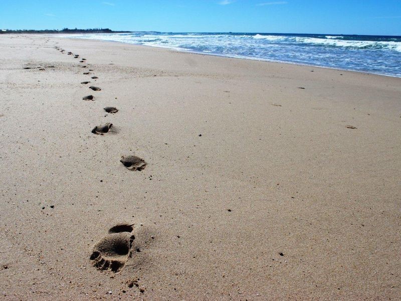 6/210 Eggins Drive, Arrawarra NSW 2456