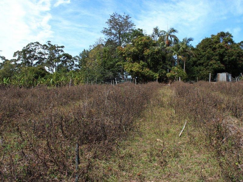 136 Holloways Road, Sandy Beach NSW 2456