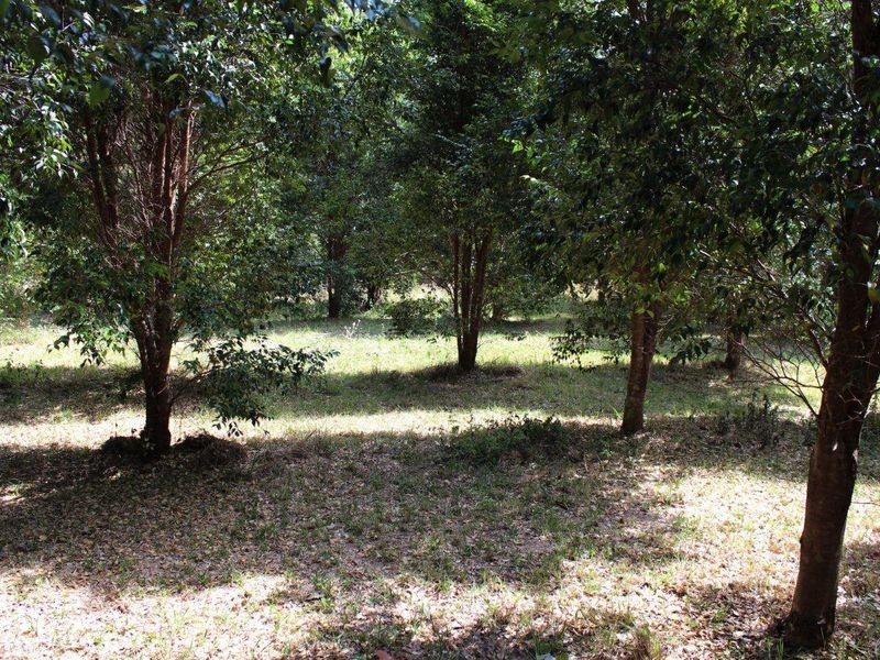 136 Holloways Road, Sandy Beach NSW 2456