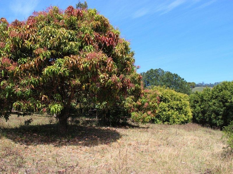 136 Holloways Road, Sandy Beach NSW 2456