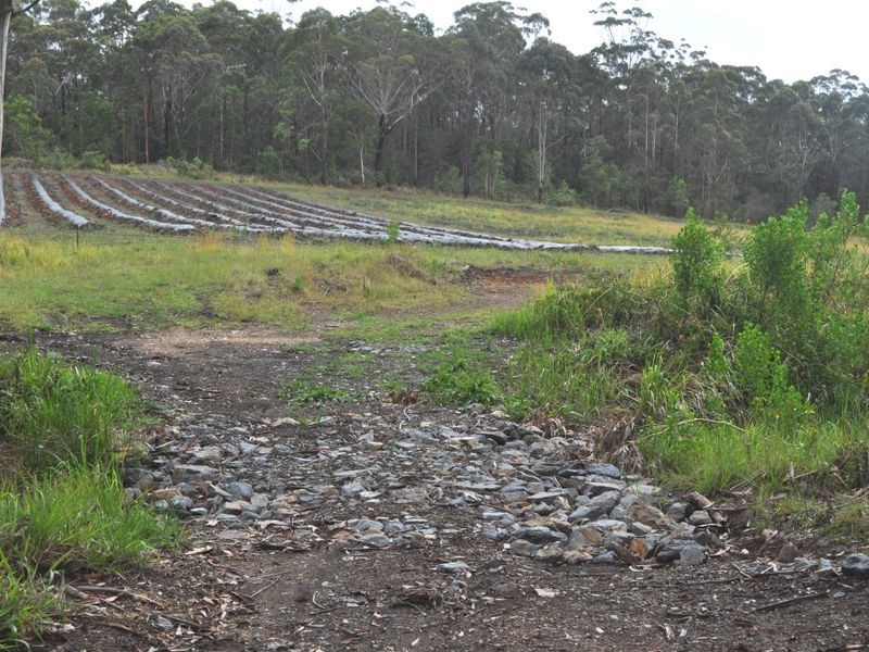 Lot 211 Lake Russell Drive, Emerald Beach NSW 2456