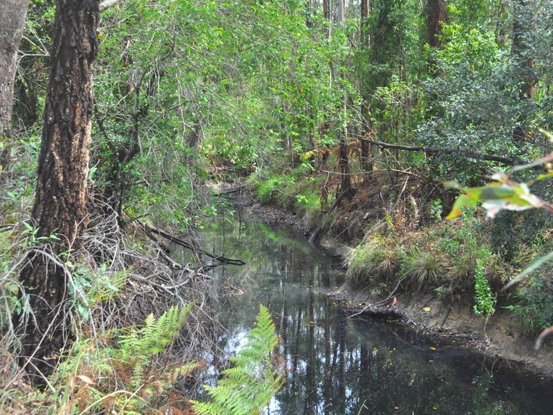 Lot 211 Lake Russell Drive, Emerald Beach NSW 2456