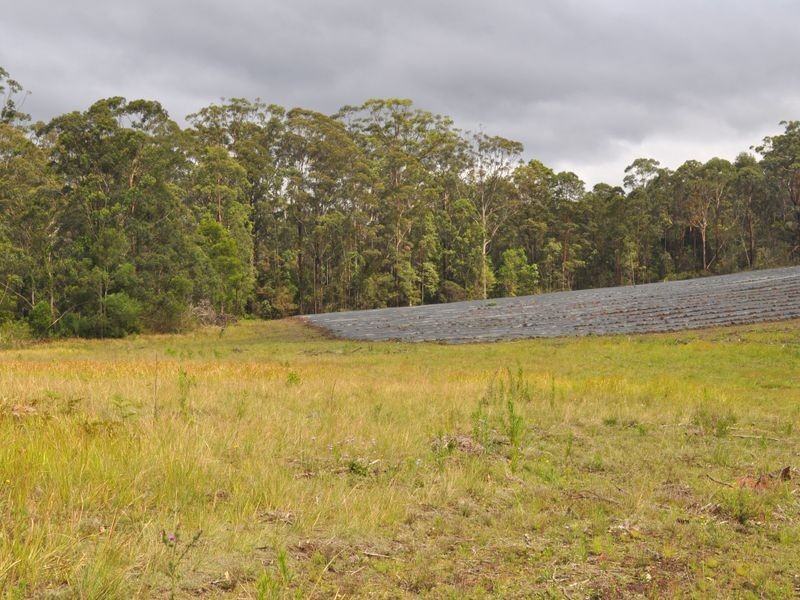 Lot 211 Lake Russell Drive, Emerald Beach NSW 2456