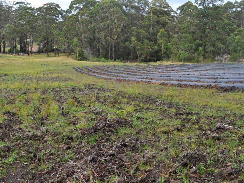 Lot 211 Lake Russell Drive, Emerald Beach NSW 2456