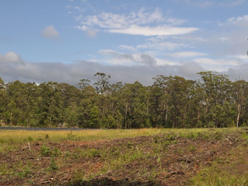Lot 211 Lake Russell Drive, Emerald Beach NSW 2456