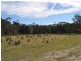 Lot 31 Kumbaingeri Close, Moonee Beach NSW 2450
