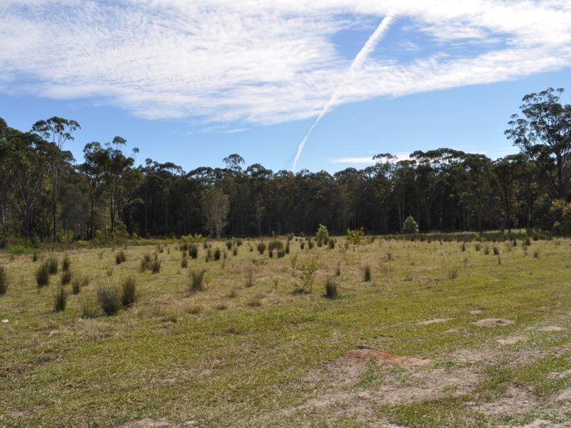 Lot 31 Kumbaingeri Close, Moonee Beach NSW 2450