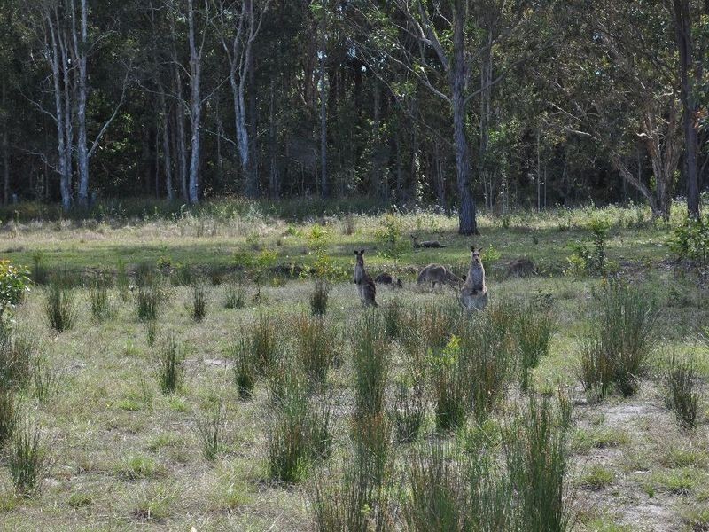 Lot 31 Kumbaingeri Close, Moonee Beach NSW 2450