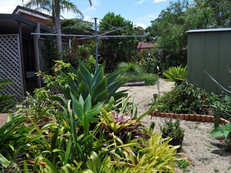 3/26 Nash Street, Woolgoolga NSW 2456