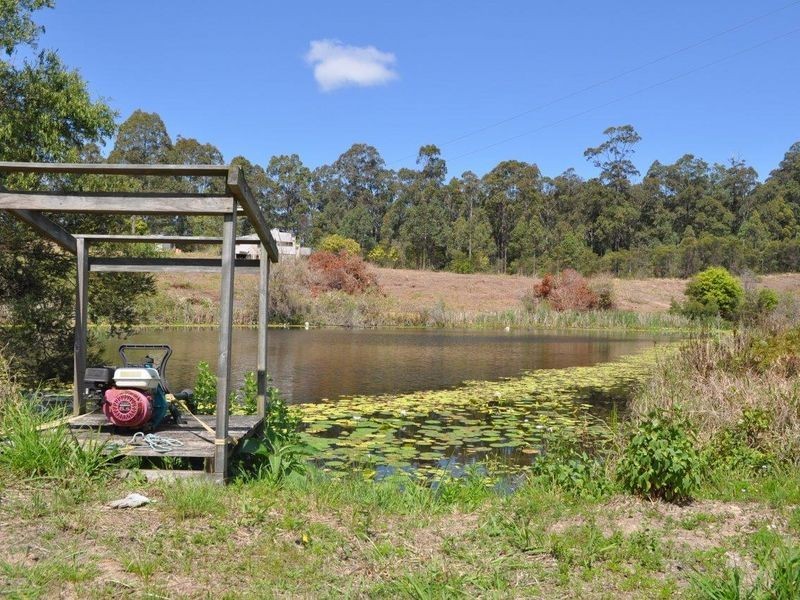 242 Grays Road, Halfway Creek NSW 2460