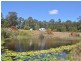242 Grays Road, Halfway Creek NSW 2460