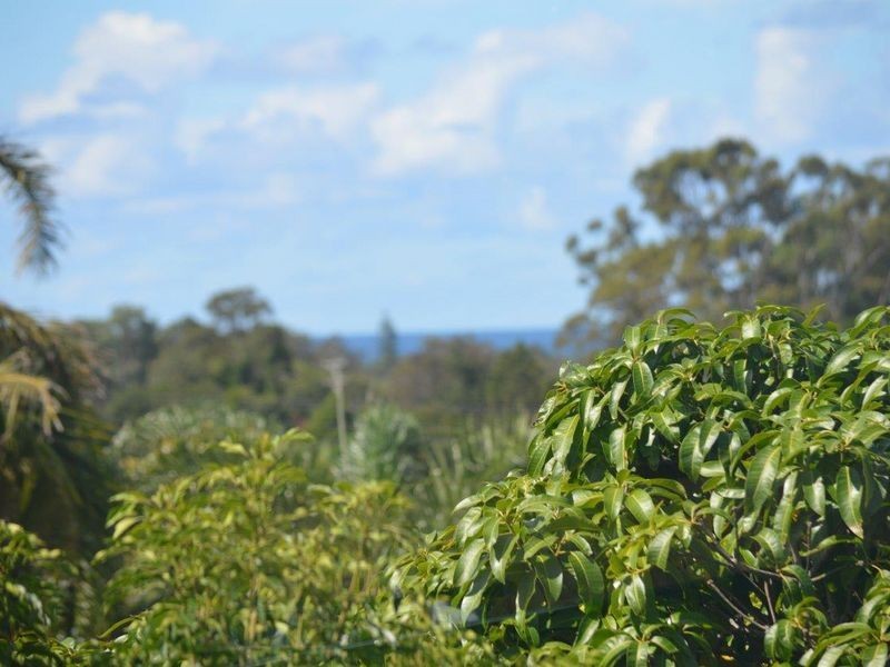 33 Barnes Street, Woolgoolga NSW 2456
