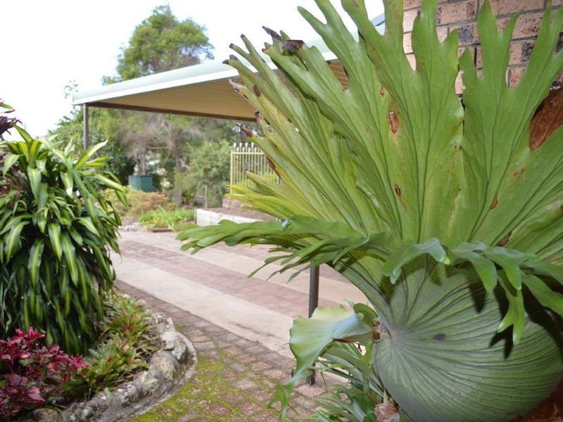 15 Lakeview Avenue, Safety Beach NSW 2456