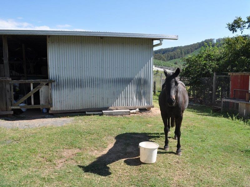 66 Palmer Road, Woolgoolga NSW 2456