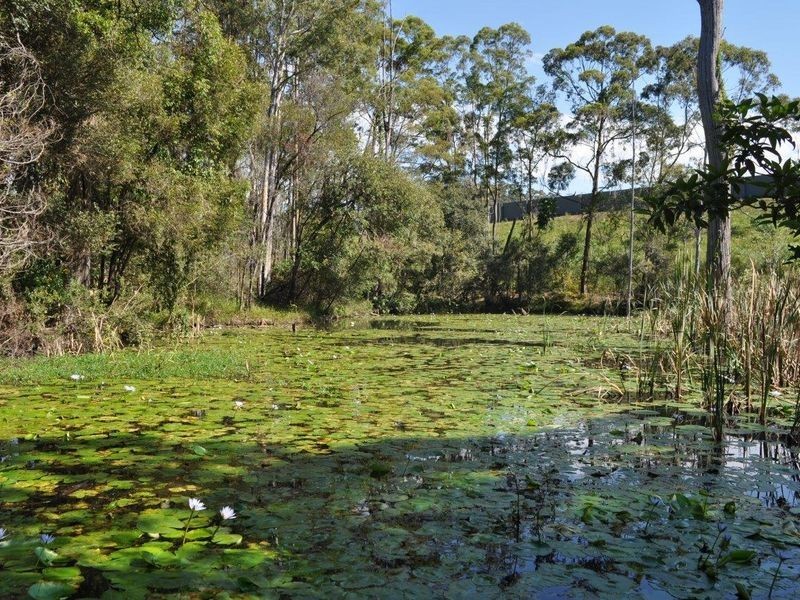 66 Palmer Road, Woolgoolga NSW 2456