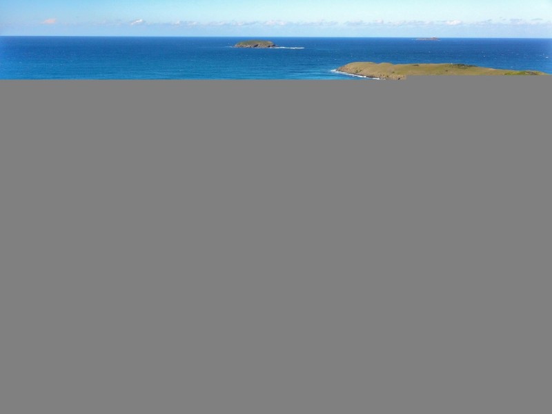 19 Blue Gum Avenue, Sandy Beach NSW 2456