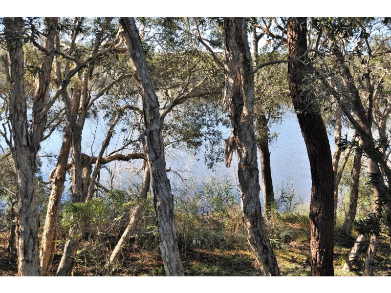 94/8 Hearnes Lake Road, The Pines, Woolgoolga NSW 2456