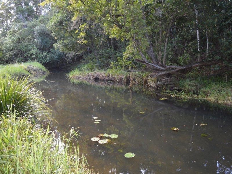 20 Gresham Drive, Woolgoolga NSW 2456