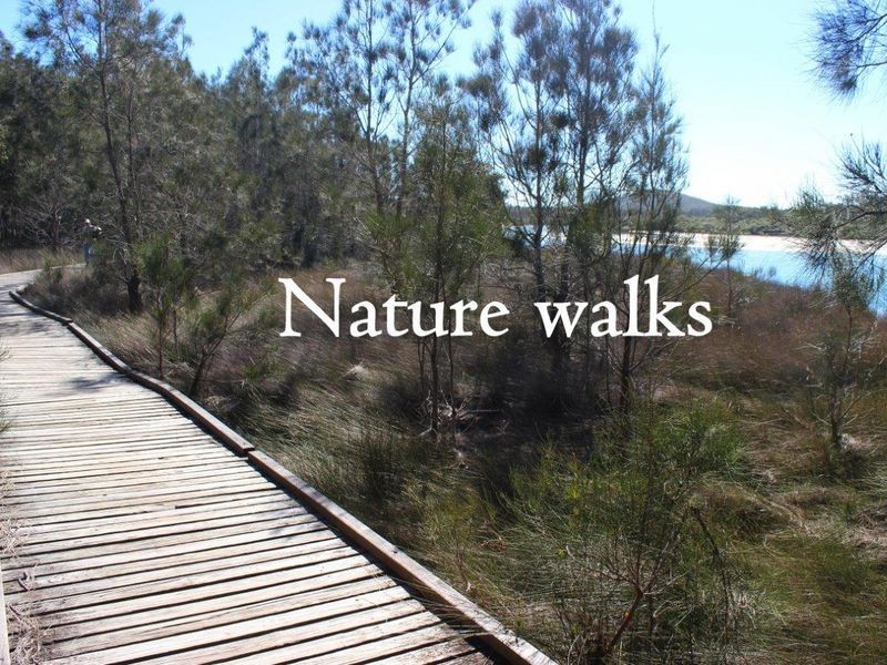 42A Schafer Street, Red Rock NSW 2456