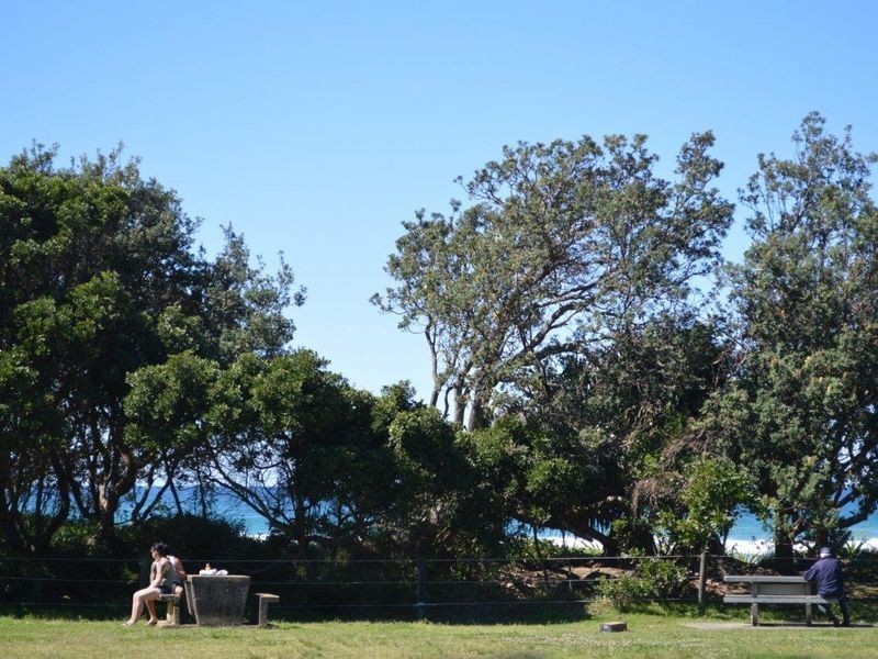 117 Fiddaman Road, Emerald Beach NSW 2456