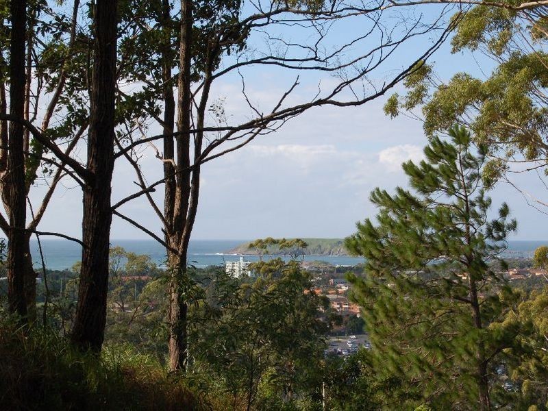 3132 Mastracolas Road, Coffs Harbour NSW 2450