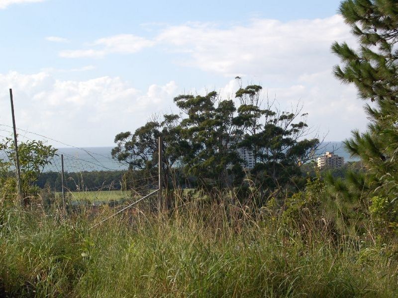 3132 Mastracolas Road, Coffs Harbour NSW 2450