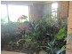 10 Lighthouse Crescent, Emerald Beach NSW 2456
