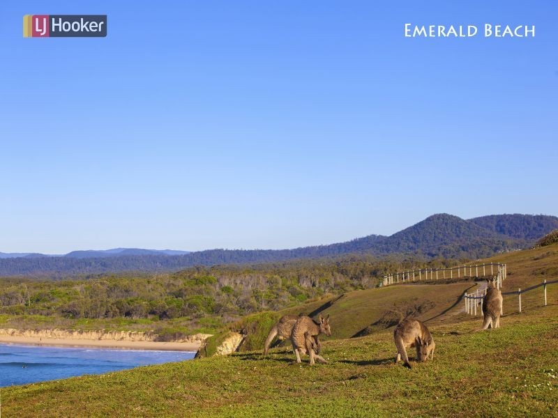 60 Dammerel Crescent, Emerald Beach NSW 2456