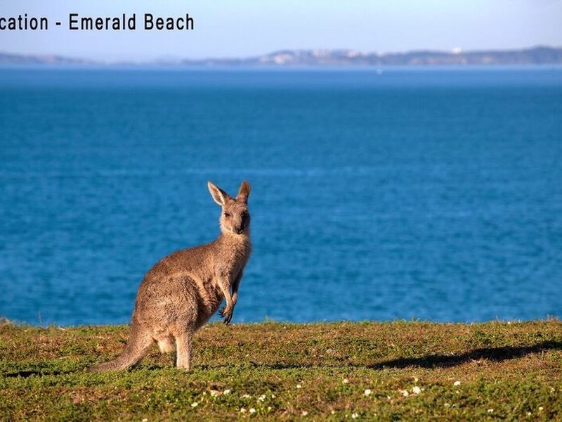 59 Bluff Road, Emerald Beach NSW 2456