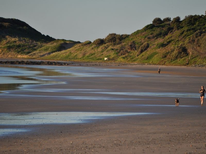 53 Bluegum Avenue, Sandy Beach NSW 2456